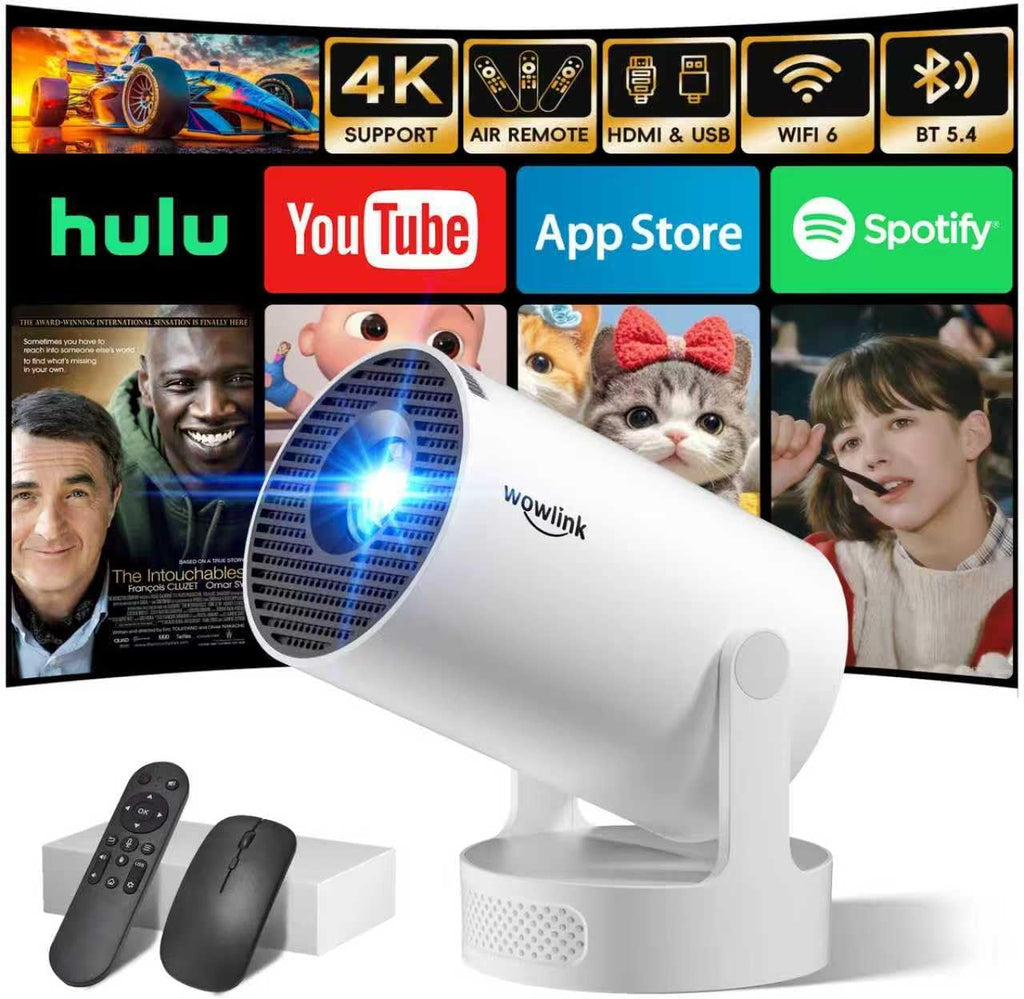 Mini projecteur portable